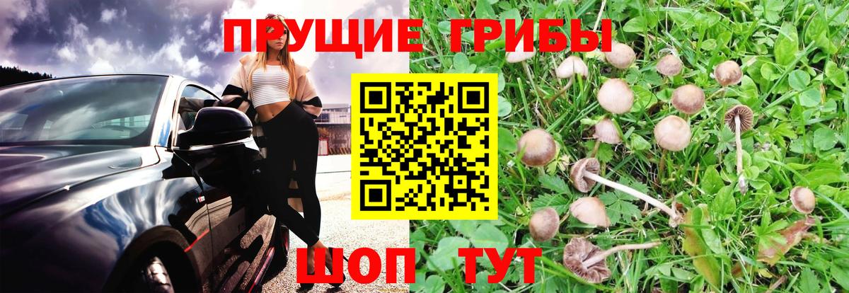 Псилоцибиновые грибы Magic Shrooms  Вход с VPN  Галлюциногенные грибы ЛСД  Кострома 