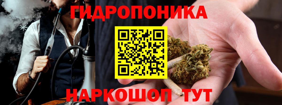 Конопля Bruce Banner  Вход с VPN  Конопля White Widow  Бошки марихуана VHQ  Кострома 